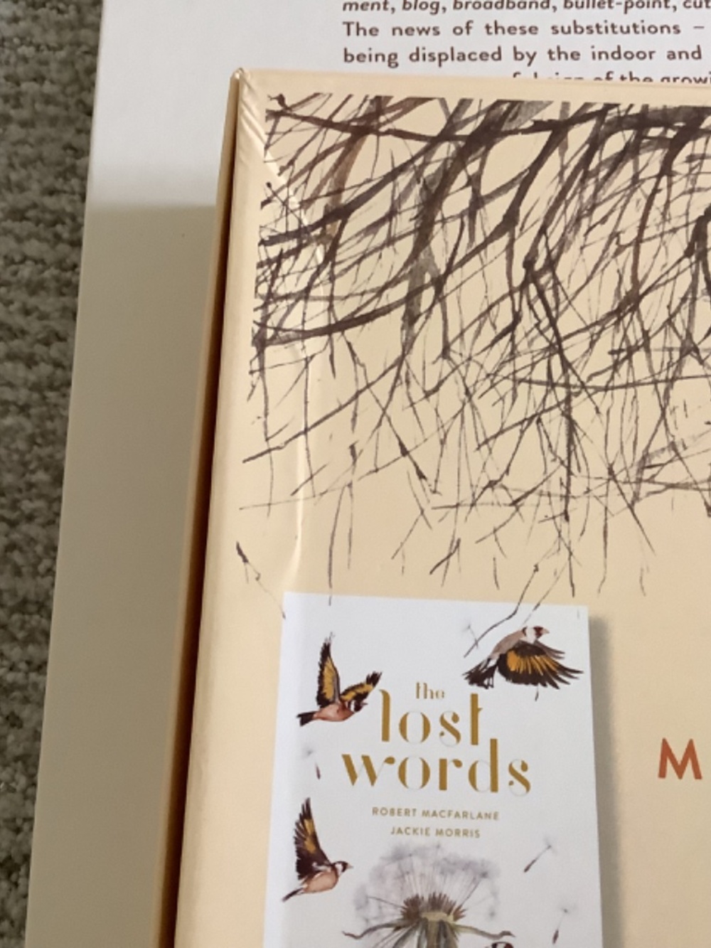 Bundle: The Lost Words Book and Puzzle - Picture 13 of 13